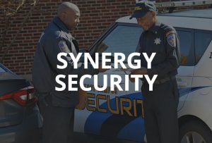 SYNERGY SECURITY